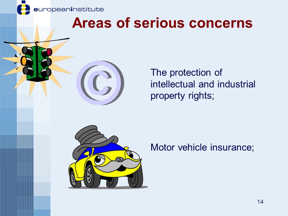 14 Areas of serious concerns The protection of intellectual and industrial property rights; Motor vehicle insurance;