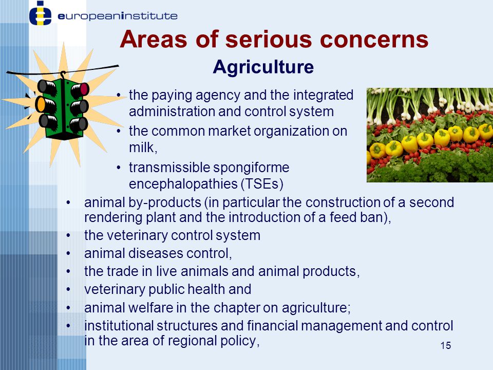 15 Areas of serious concerns animal by-products (in particular the construction of a second rendering plant and the introduction of a feed ban), the veterinary control system animal diseases control, the trade in live animals and animal products, veterinary public health and animal welfare in the chapter on agriculture; institutional structures and financial management and control in the area of regional policy, Agriculture the paying agency and the integrated administration and control system the common market organization on milk, transmissible spongiforme encephalopathies (TSEs)