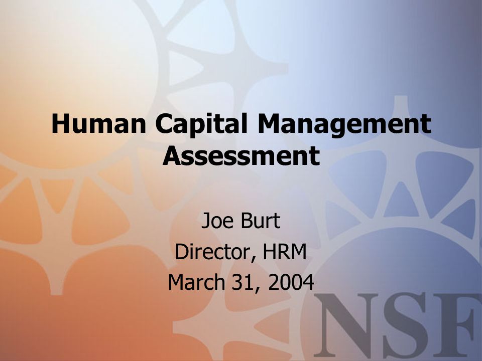 Human Capital Management Assessment Joe Burt Director, HRM March 31, 2004
