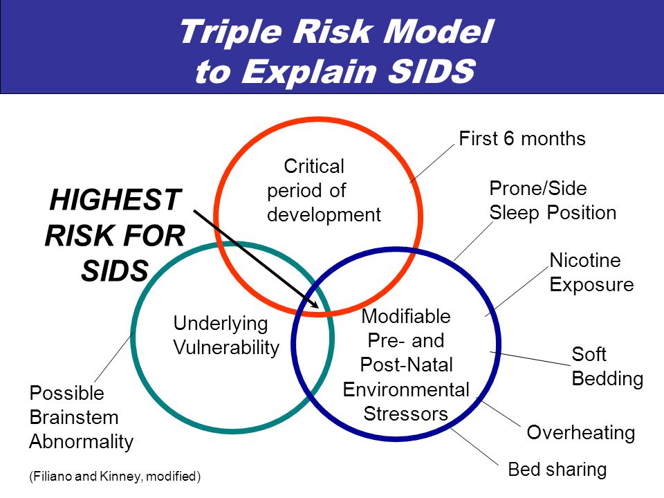 Triple Risk Model to Explain SIDS Critical period of development Underlying Vulnerability Modifiable Pre- and Post-Natal Environmental Stressors HIGHEST RISK FOR SIDS Possible Brainstem Abnormality (Filiano and Kinney, modified) First 6 months Prone/Side Sleep Position Nicotine Exposure Soft Bedding Overheating Bed sharing