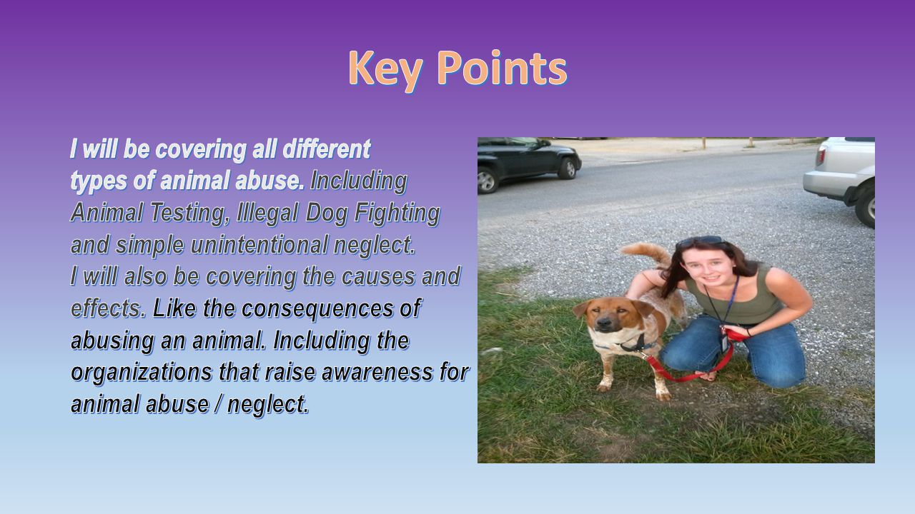 Domestic Animal Care. ~Animal abuse comes in many different types. Such as  animal testing, illegal dog fighting and unintentional neglect. All of  these. - ppt download