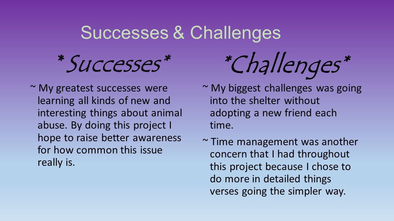 Successes & Challenges *Successes* ~ My greatest successes were learning all kinds of new and interesting things about animal abuse.
