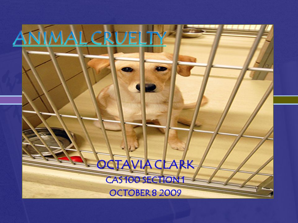 OCTAVIA CLARK CAS 100 SECTION 1 OCTOBER
