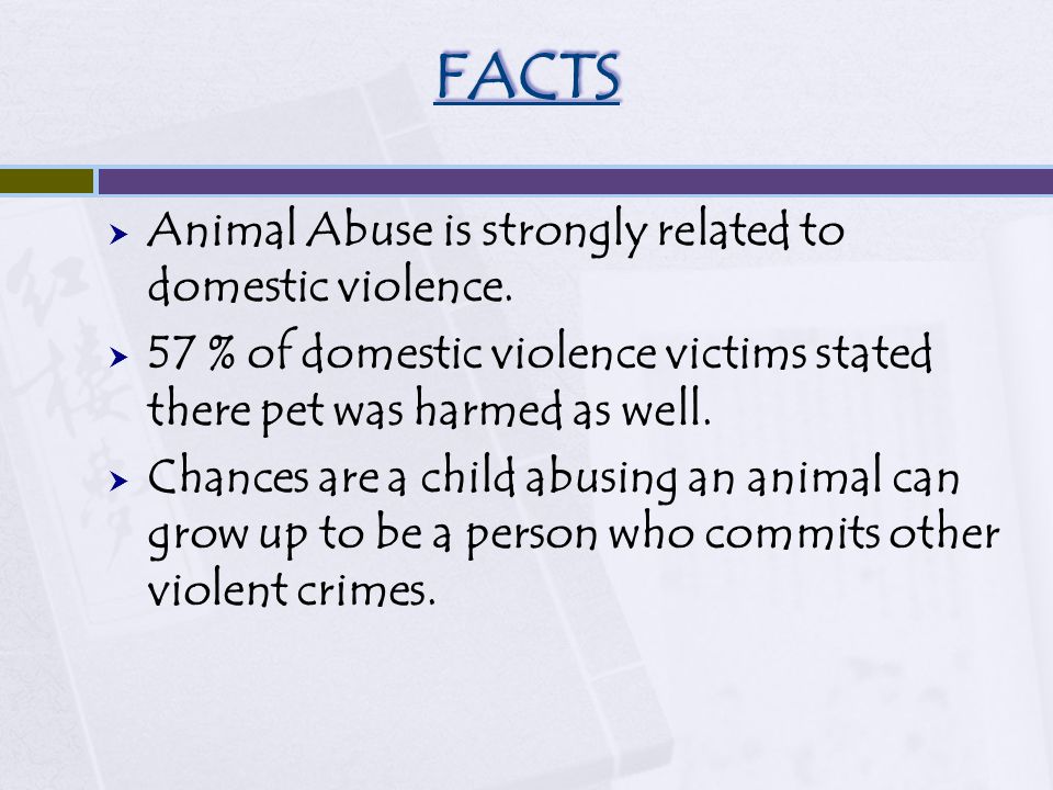 FACTS  Animal Abuse is strongly related to domestic violence.