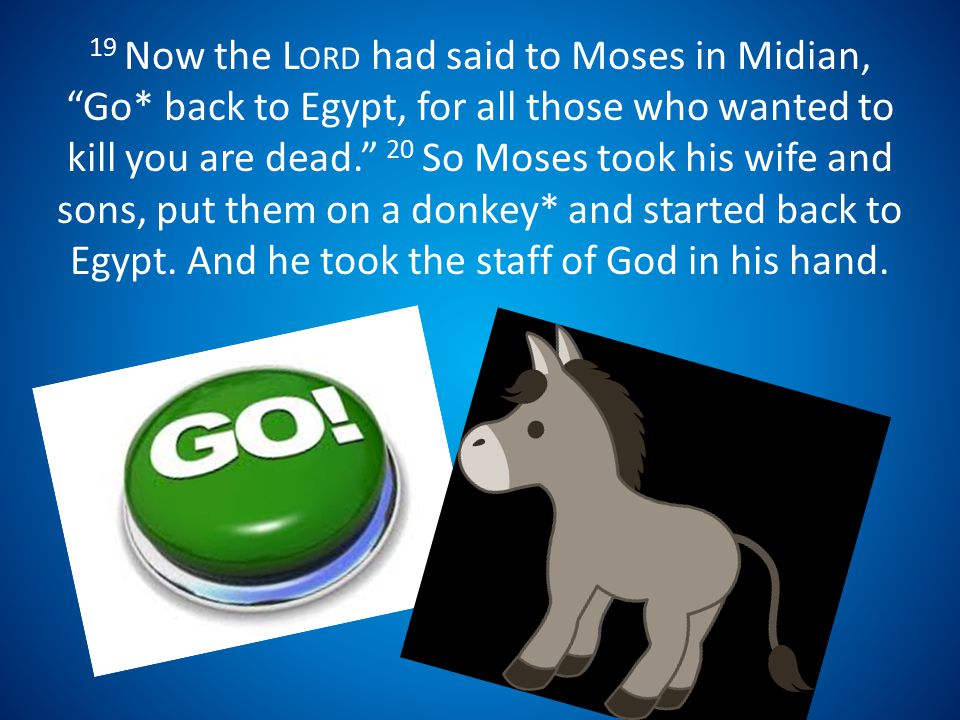 19 Now the L ORD had said to Moses in Midian, Go* back to Egypt, for all those who wanted to kill you are dead. 20 So Moses took his wife and sons, put them on a donkey* and started back to Egypt.
