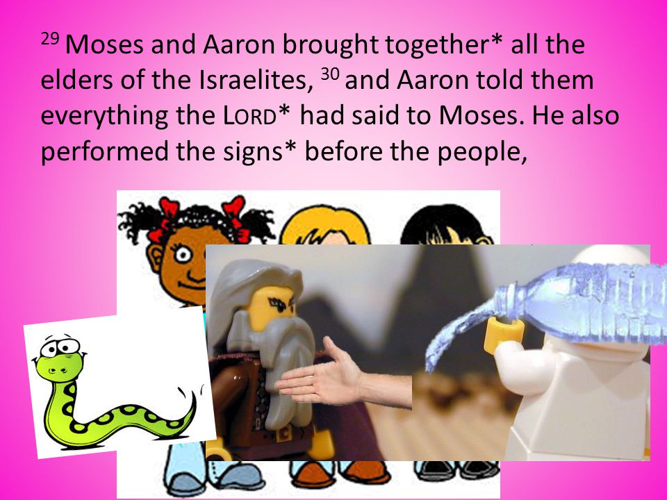 29 Moses and Aaron brought together* all the elders of the Israelites, 30 and Aaron told them everything the L ORD * had said to Moses.