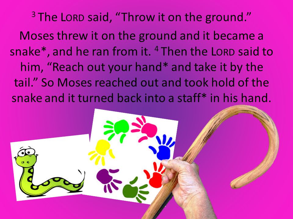 3 The L ORD said, Throw it on the ground. Moses threw it on the ground and it became a snake*, and he ran from it.