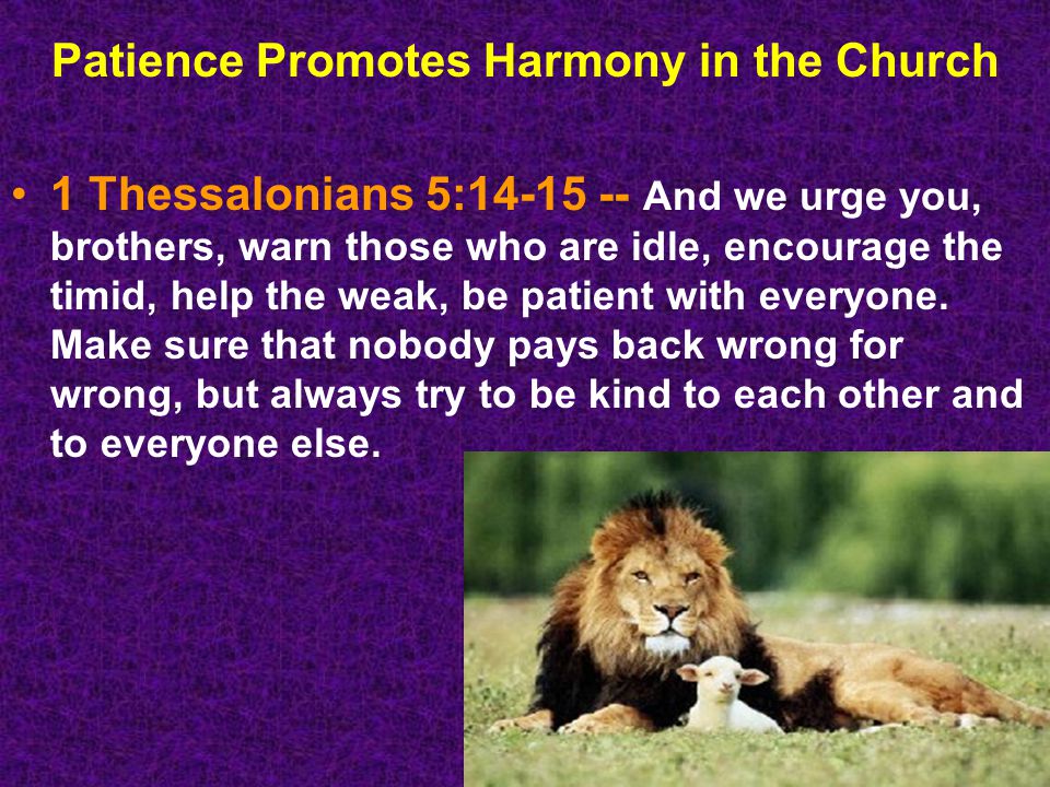 Patience Promotes Harmony in the Church 1 Thessalonians 5: And we urge you, brothers, warn those who are idle, encourage the timid, help the weak, be patient with everyone.