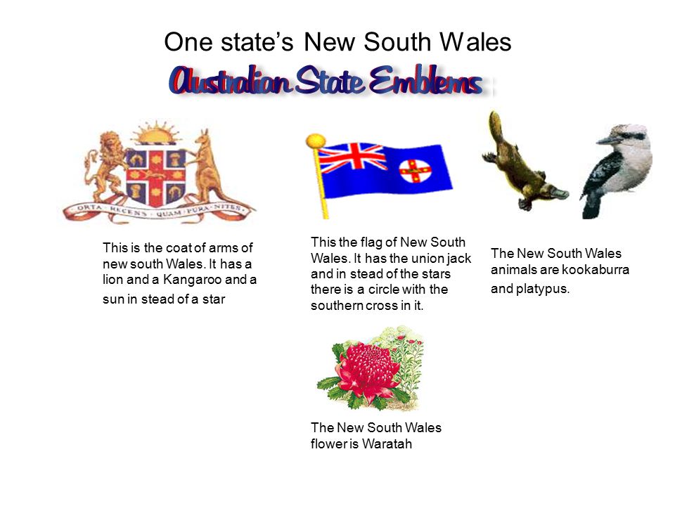 Change in Australia - Our Past This symbol is Australian flag It has in it union southern cross, star It was created like this to symbolize. - ppt download
