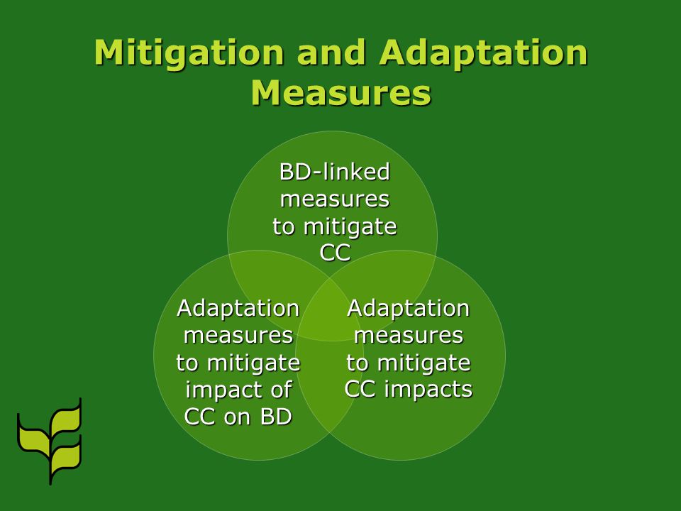 Mitigation and Adaptation Measures Adaptation measures to mitigate impact of CC on BD BD-linked measures to mitigate CC Adaptation measures to mitigate CC impacts