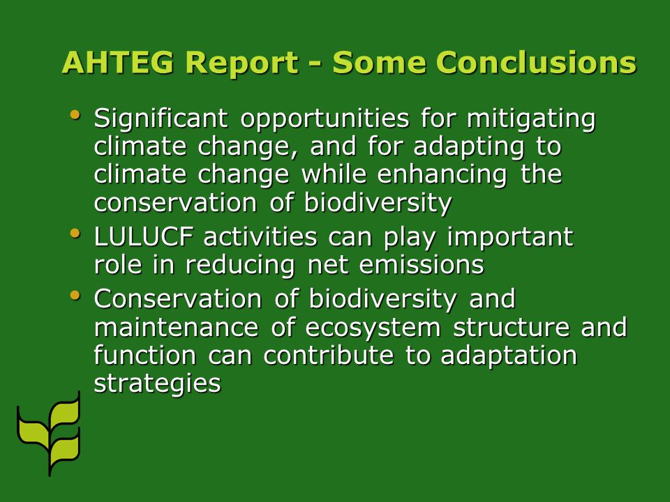 AHTEG Report - Some Conclusions Significant opportunities for mitigating climate change, and for adapting to climate change while enhancing the conservation of biodiversity Significant opportunities for mitigating climate change, and for adapting to climate change while enhancing the conservation of biodiversity LULUCF activities can play important role in reducing net emissions LULUCF activities can play important role in reducing net emissions Conservation of biodiversity and maintenance of ecosystem structure and function can contribute to adaptation strategies Conservation of biodiversity and maintenance of ecosystem structure and function can contribute to adaptation strategies