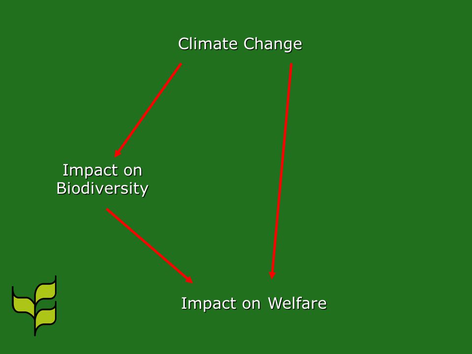 Climate Change Impact on Biodiversity Impact on Welfare