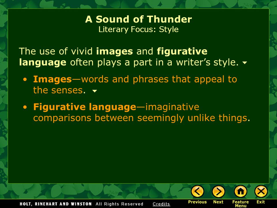 A Sound of Thunder Literary Focus: Style The use of vivid images and figurative language often plays a part in a writer’s style.