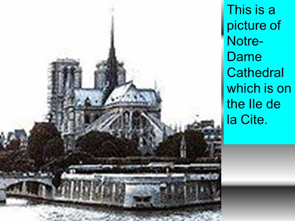 This is a picture of Notre- Dame Cathedral which is on the Ile de la Cite.