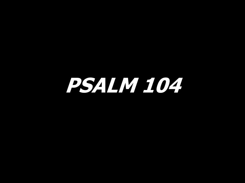 PSALM 104