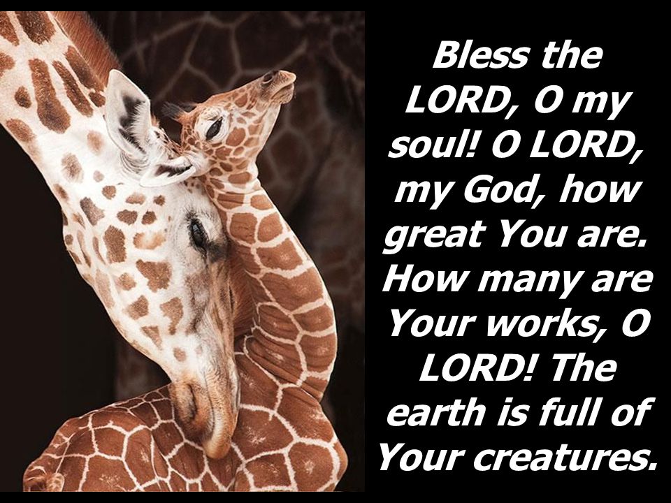 Bless the LORD, O my soul. O LORD, my God, how great You are.