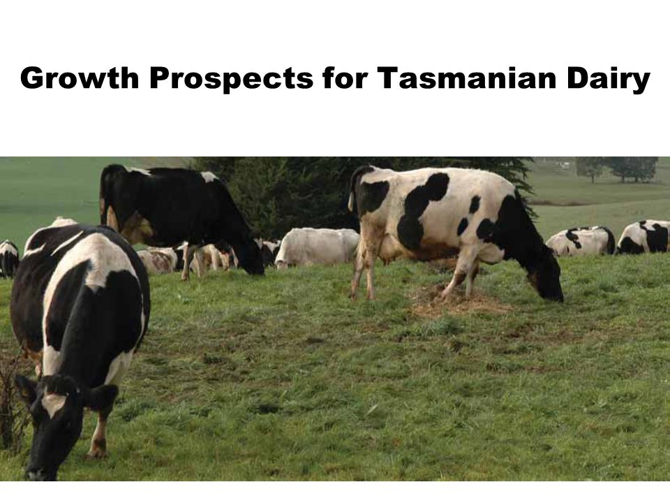 Growth Prospects for Tasmanian Dairy