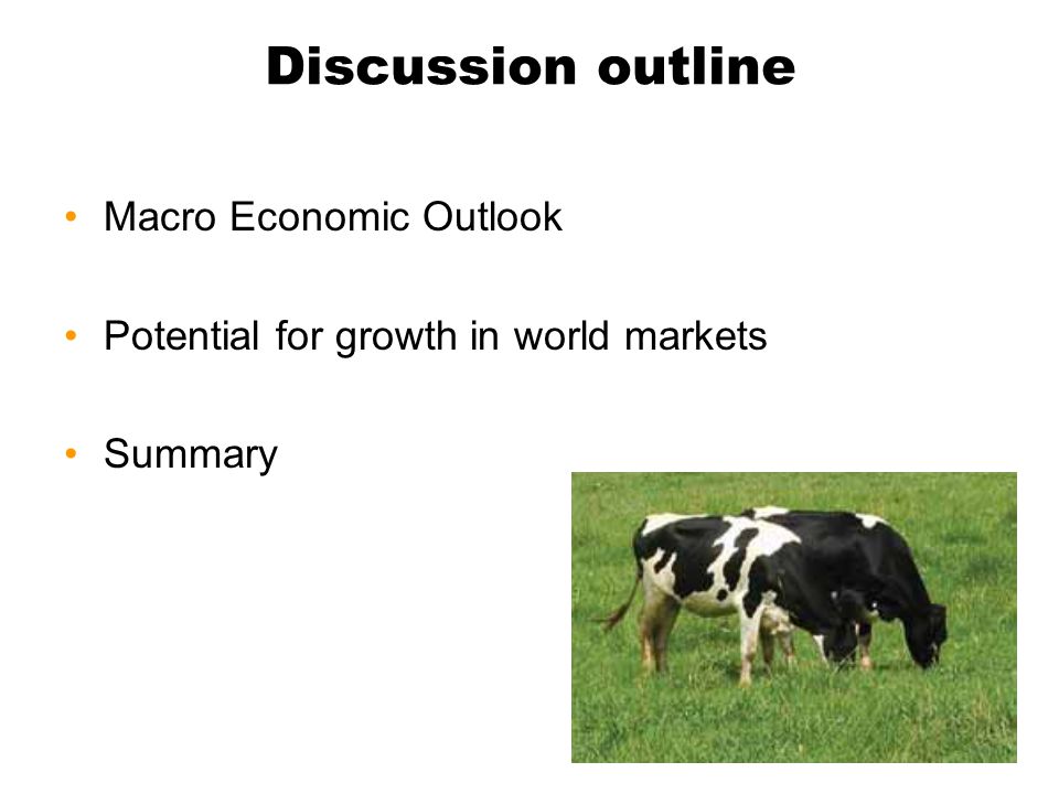 Discussion outline Macro Economic Outlook Potential for growth in world markets Summary