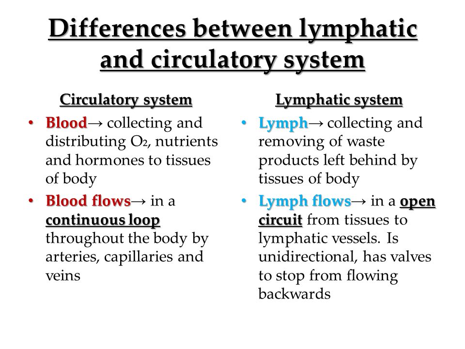 Differences between lymphatic and circulatory system Circulatory system Blood Blood → collecting and distributing O₂, nutrients and hormones to tissues of body Blood flows continuous loop Blood flows → in a continuous loop throughout the body by arteries, capillaries and veins Lymphatic system Lymph Lymph → collecting and removing of waste products left behind by tissues of body Lymph flowsopen circuit Lymph flows → in a open circuit from tissues to lymphatic vessels.