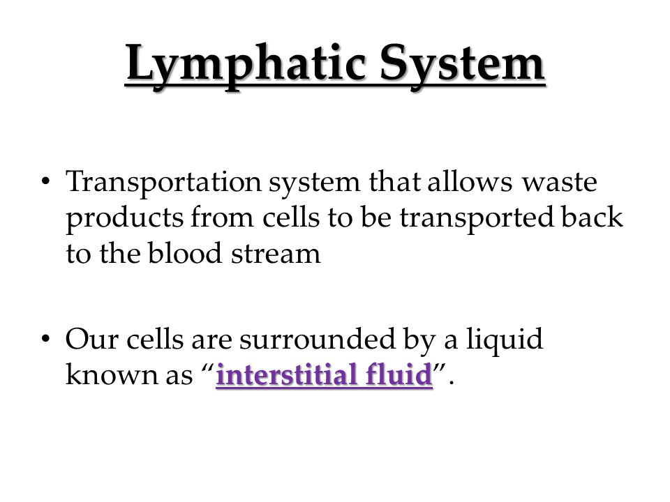 Transportation system that allows waste products from cells to be transported back to the blood stream interstitial fluid Our cells are surrounded by a liquid known as interstitial fluid .
