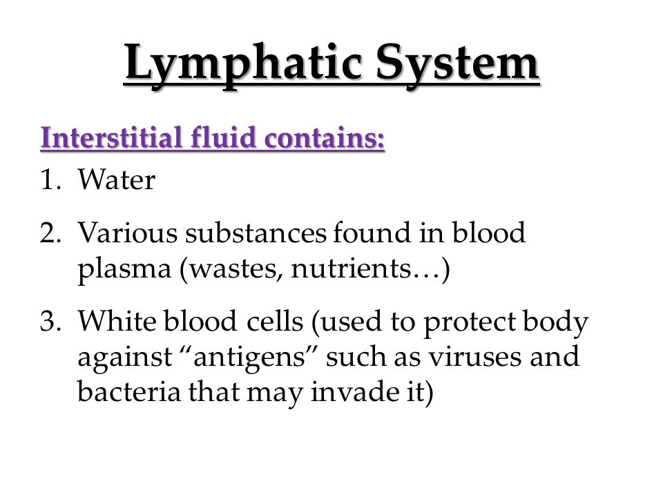 Lymphatic System Interstitial fluid contains: 1.Water 2.Various substances found in blood plasma (wastes, nutrients…) 3.White blood cells (used to protect body against antigens such as viruses and bacteria that may invade it)