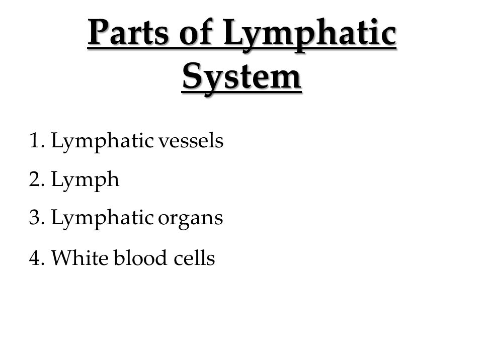 Parts of Lymphatic System 1. Lymphatic vessels 2. Lymph 3. Lymphatic organs 4. White blood cells