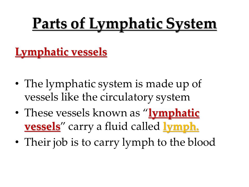 Parts of Lymphatic System Lymphatic vessels The lymphatic system is made up of vessels like the circulatory system lymphatic vesselslymph.
