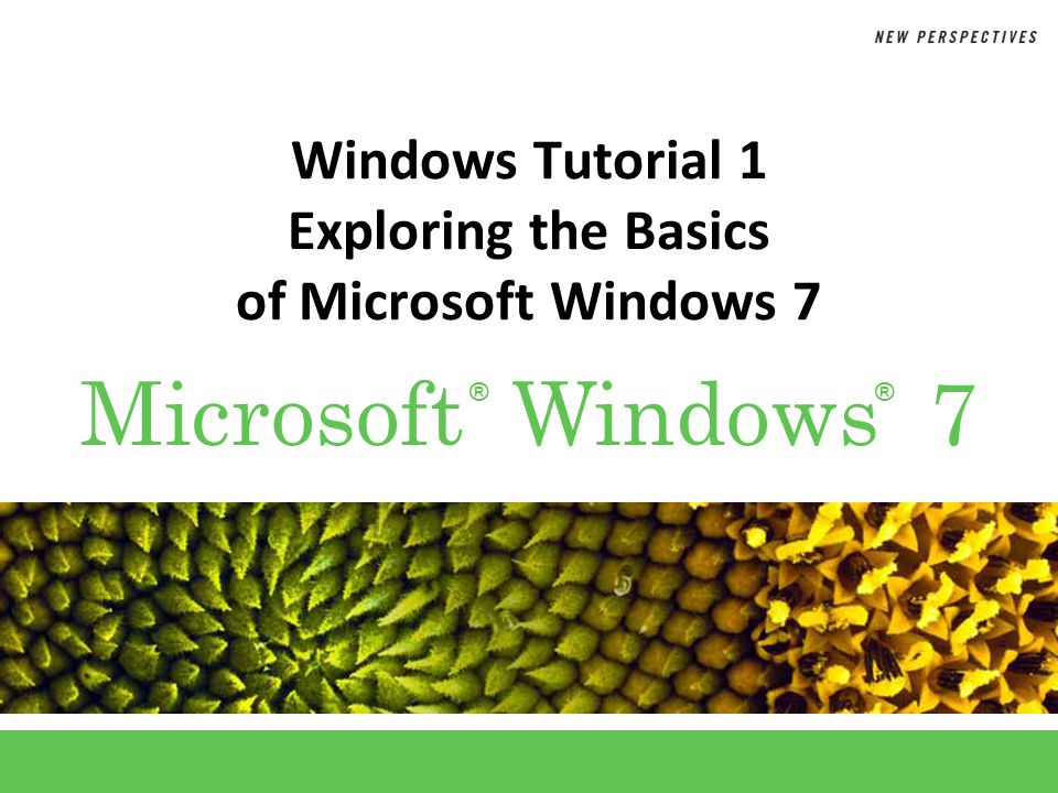 ®® Microsoft Windows 7 Windows Tutorial 1 Exploring the Basics of Microsoft Windows 7