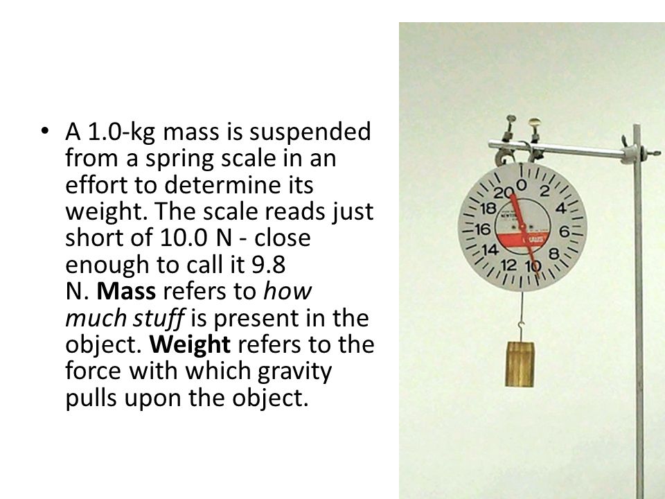 A 1.0-kg mass is suspended from a spring scale in an effort to determine its weight.
