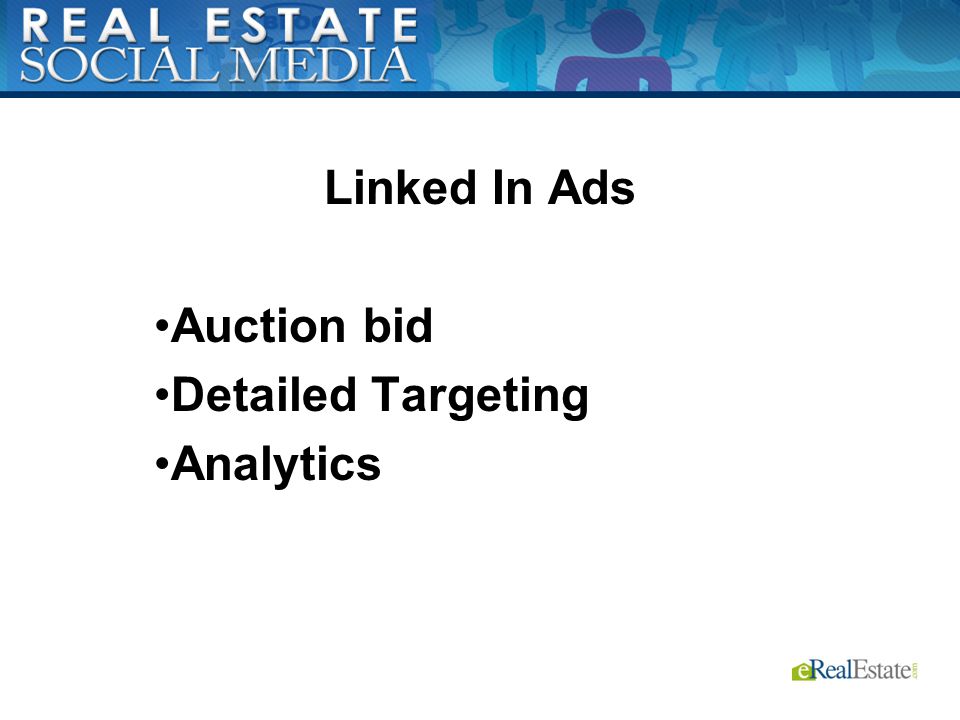 Linked In Ads Auction bid Detailed Targeting Analytics