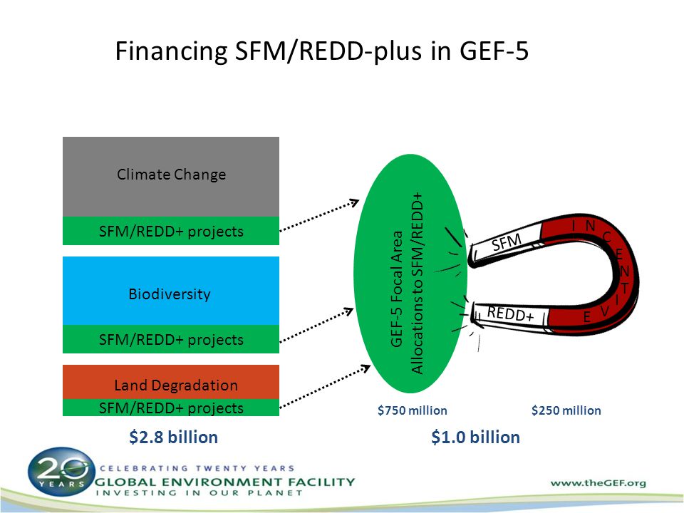 Financing SFM/REDD-plus in GEF-5 SFM/REDD+ projects Climate Change Biodiversity Land Degradation GEF-5 Focal Area Allocations to SFM/REDD+ SFM REDD+ IN C E N I T V E $250 million$750 million $2.8 billion $1 billion in total for SFM/REDD+ $1.0 billion