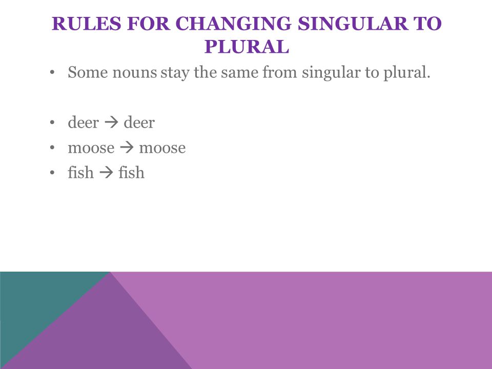 RULES FOR CHANGING SINGULAR TO PLURAL Some nouns stay the same from singular to plural.