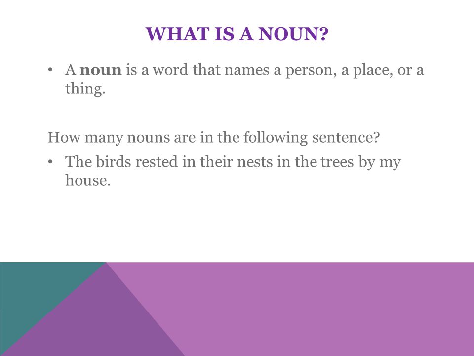 A noun is a word that names a person, a place, or a thing.
