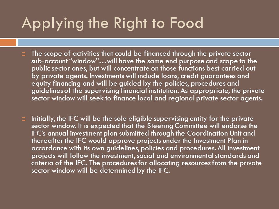 Applying the Right to Food  The scope of activities that could be financed through the private sector sub-account window …will have the same end purpose and scope to the public sector ones, but will concentrate on those functions best carried out by private agents.