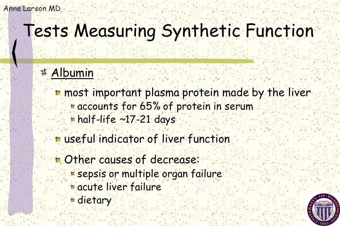 Anne Larson MD Tests Measuring Synthetic Function Albumin most important plasma protein made by the liver accounts for 65% of protein in serum half-life ~17-21 days useful indicator of liver function Other causes of decrease : sepsis or multiple organ failure acute liver failure dietary