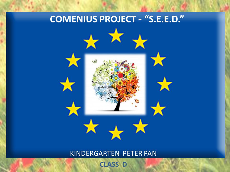 Comenius Project S E E D Kindergarten Peter Pan Class D