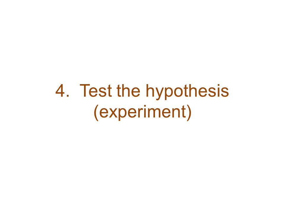 4. Test the hypothesis (experiment)