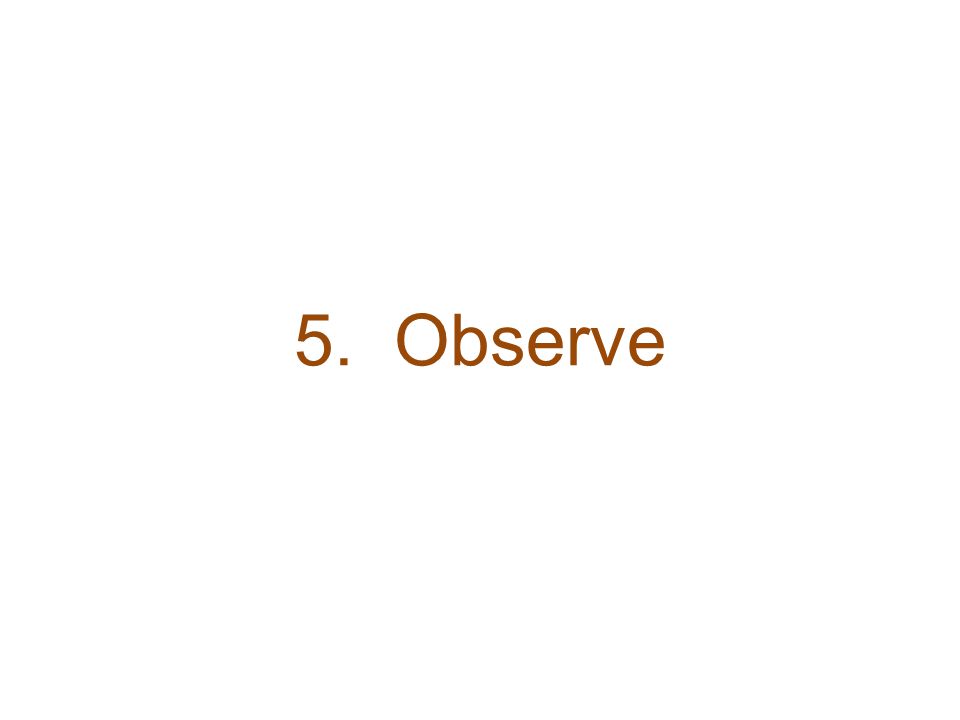 5. Observe