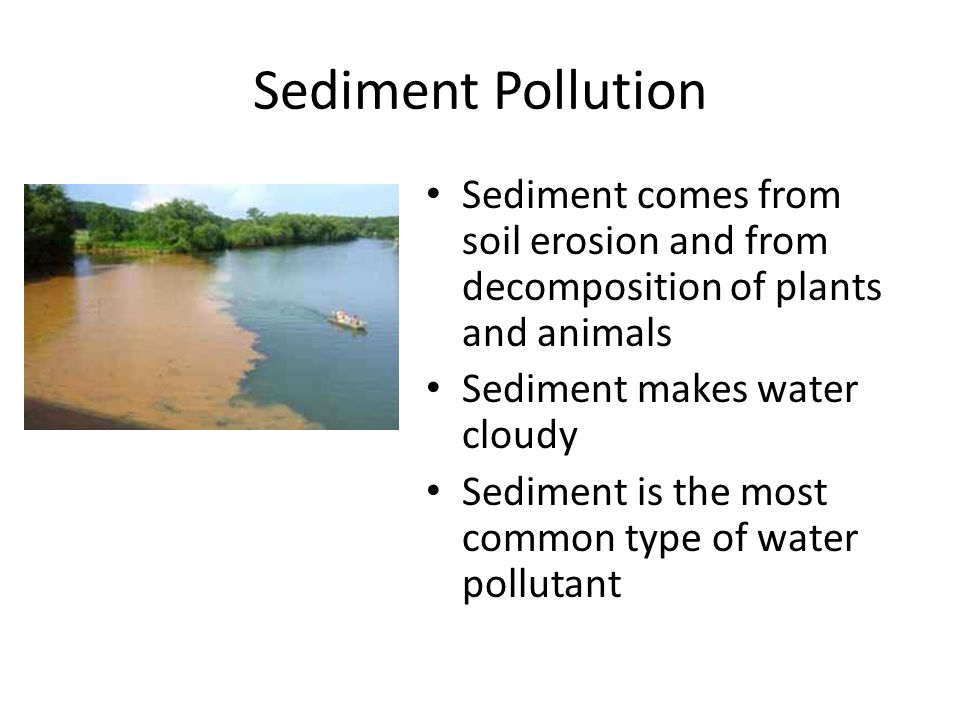 Sediment Pollution Sediment comes from soil erosion and from decomposition of plants and animals Sediment makes water cloudy Sediment is the most common type of water pollutant