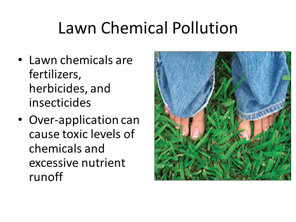 Lawn Chemical Pollution Lawn chemicals are fertilizers, herbicides, and insecticides Over-application can cause toxic levels of chemicals and excessive nutrient runoff