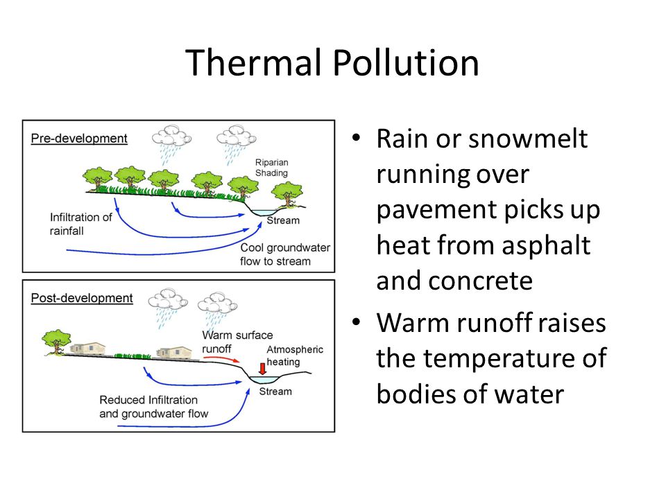 Thermal Pollution Rain or snowmelt running over pavement picks up heat from asphalt and concrete Warm runoff raises the temperature of bodies of water