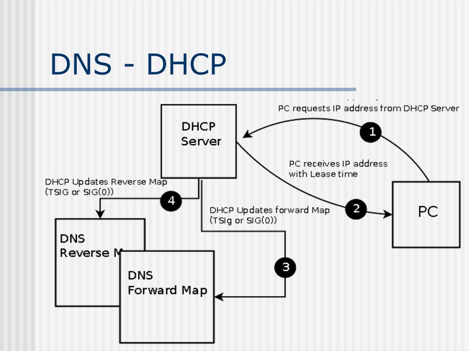 Dns внешняя звуковая карта dns