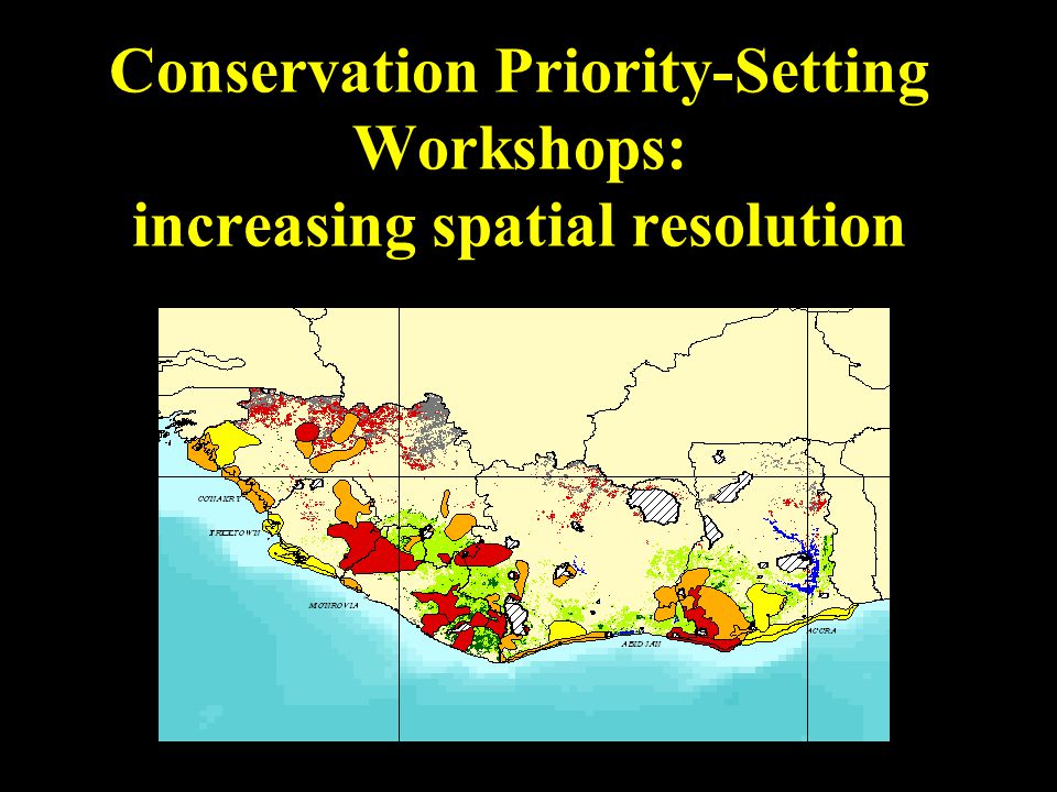 Conservation Priority-Setting Workshops: increasing spatial resolution