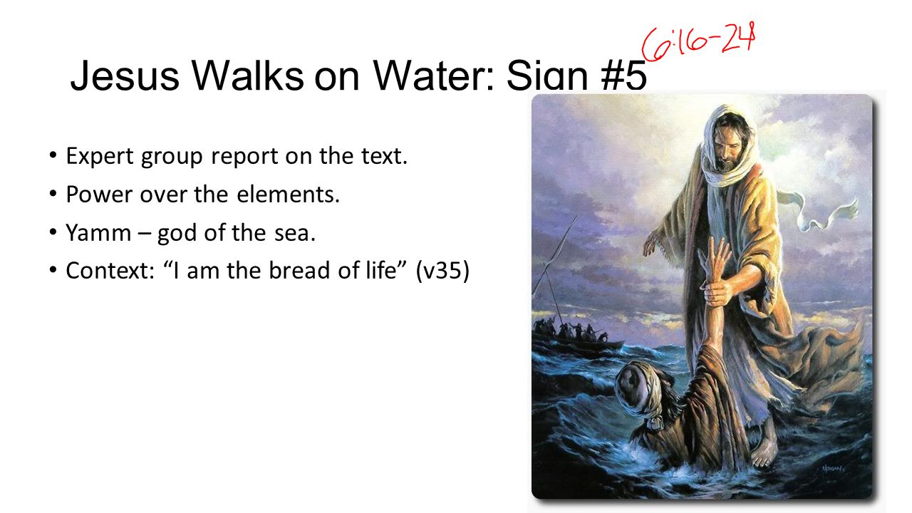 Jesus Walks on Water: Sign #5 Expert group report on the text.