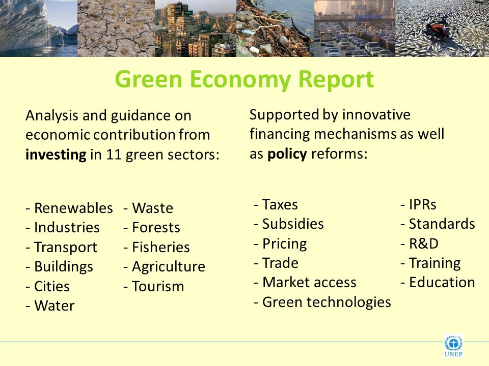 Green Economy Report Analysis and guidance on economic contribution from investing in 11 green sectors: Supported by innovative financing mechanisms as well as policy reforms: - Renewables - Waste - Industries - Forests - Transport - Fisheries - Buildings- Agriculture - Cities - Tourism - Water - Taxes - IPRs - Subsidies- Standards - Pricing- R&D - Trade- Training - Market access - Education - Green technologies