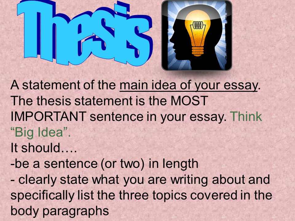 A statement of the main idea of your essay.