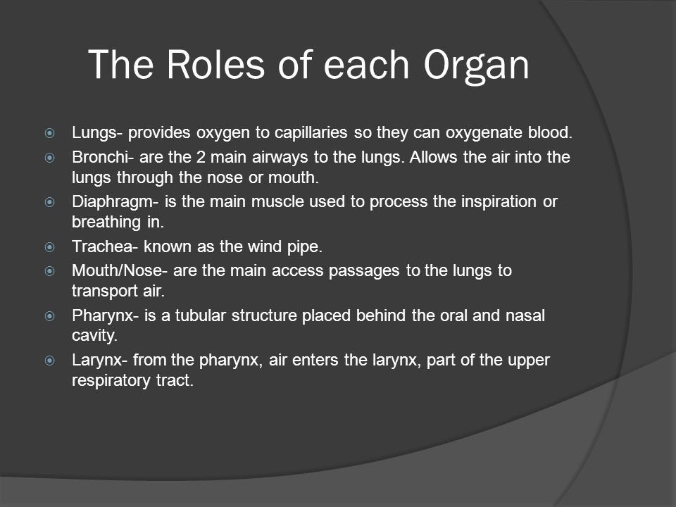 The Roles of each Organ  Lungs- provides oxygen to capillaries so they can oxygenate blood.