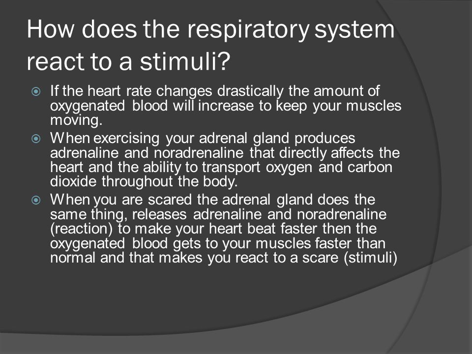 How does the respiratory system react to a stimuli.