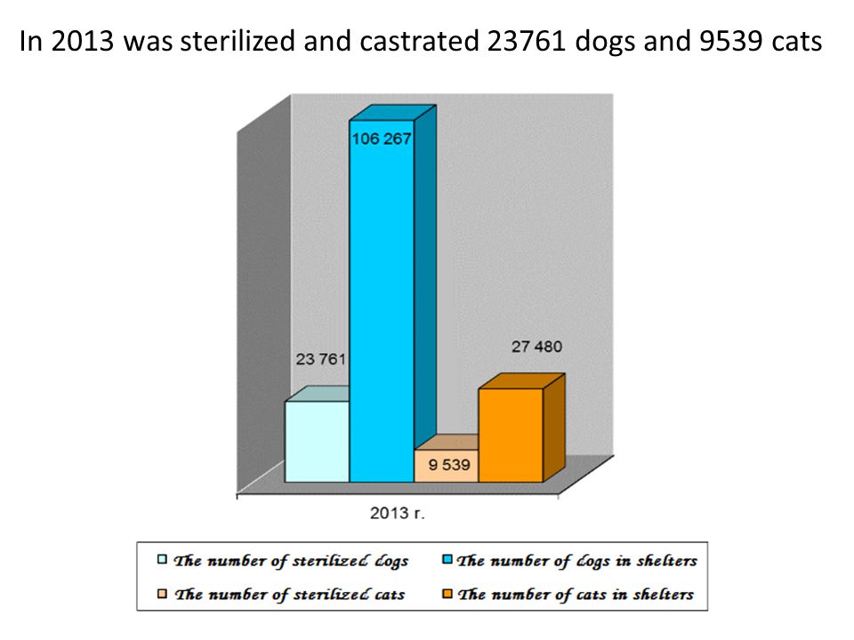 In 2013 was sterilized and castrated dogs and 9539 cats