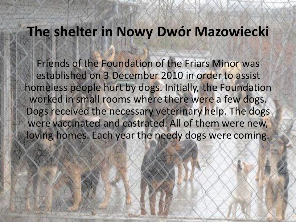 The shelter in Nowy Dwór Mazowiecki Friends of the Foundation of the Friars Minor was established on 3 December 2010 in order to assist homeless people hurt by dogs.